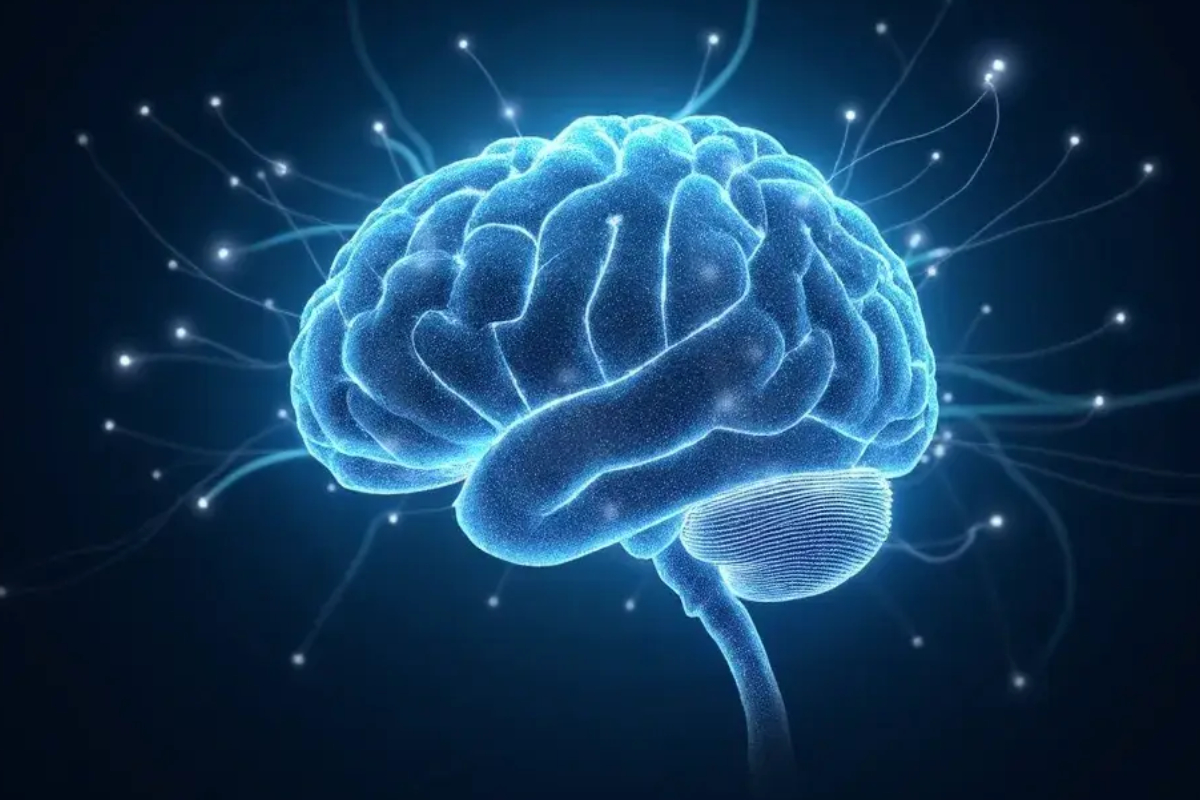 Sugar free hot chocolate for brain health and focus