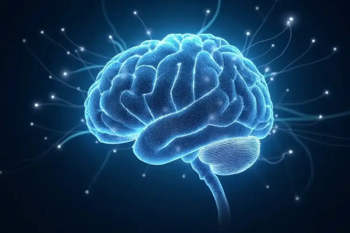 Sugar free hot chocolate for brain health and focus